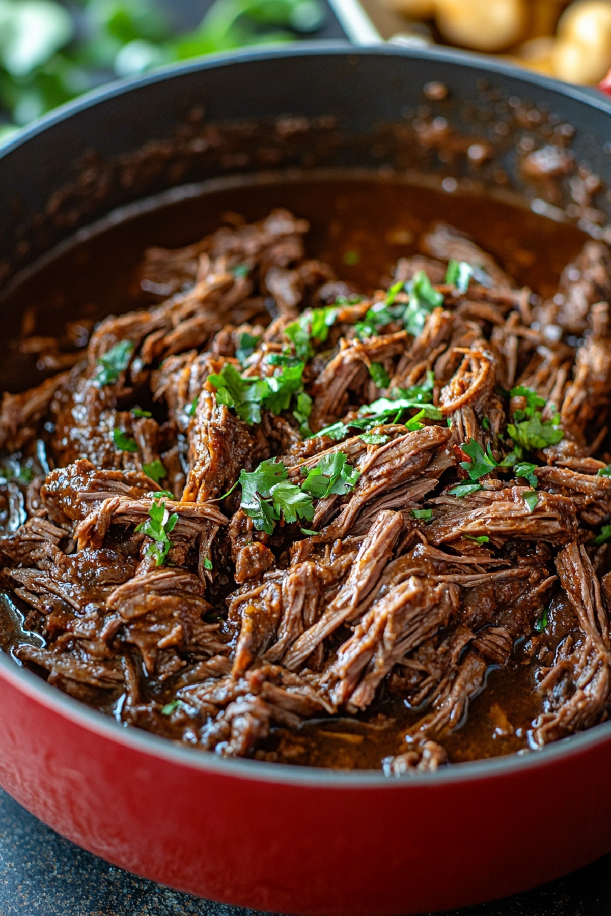 Mexican Shredded Beef Recipe
