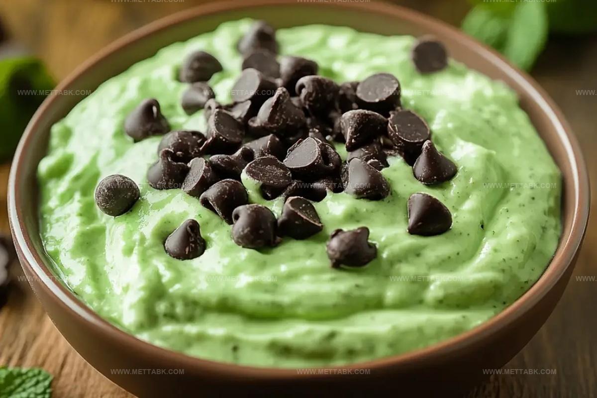 Mint Chocolate Chip Dip Recipe