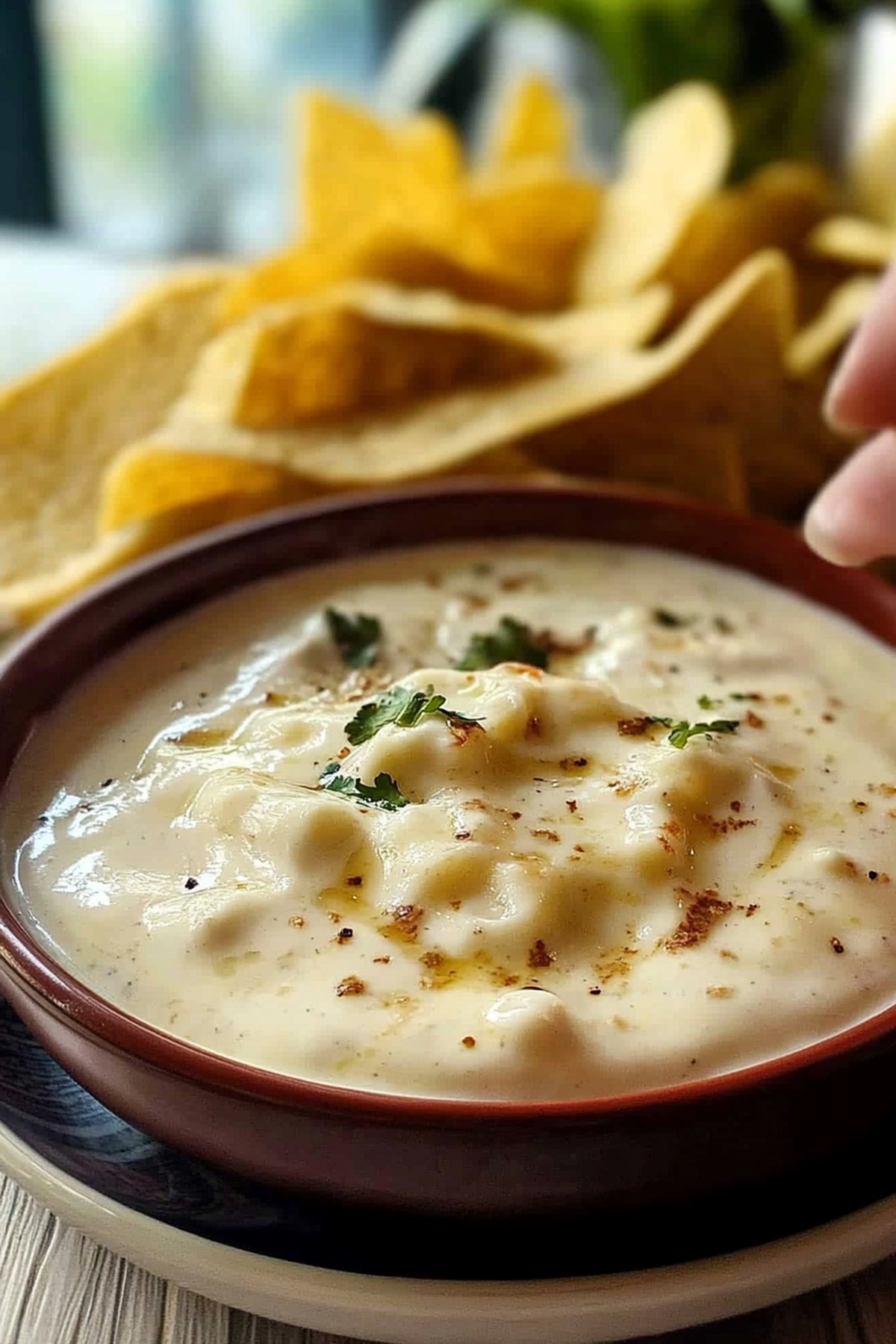 Mexican White Cheese (Queso) Dip Recipe