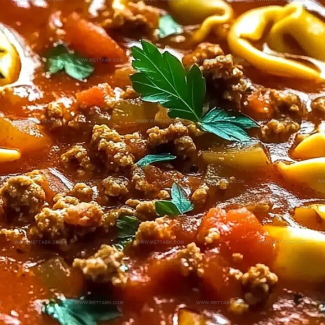 Slow Cooker Tomato Tortellini Soup With Beef Highlights