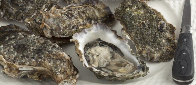 Guernsey Oysters