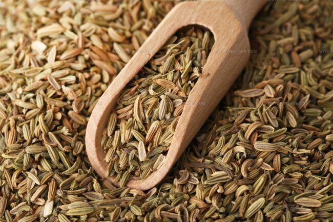 How Long Can Fennel Spice Alternatives Be Stored Without Losing Aroma?