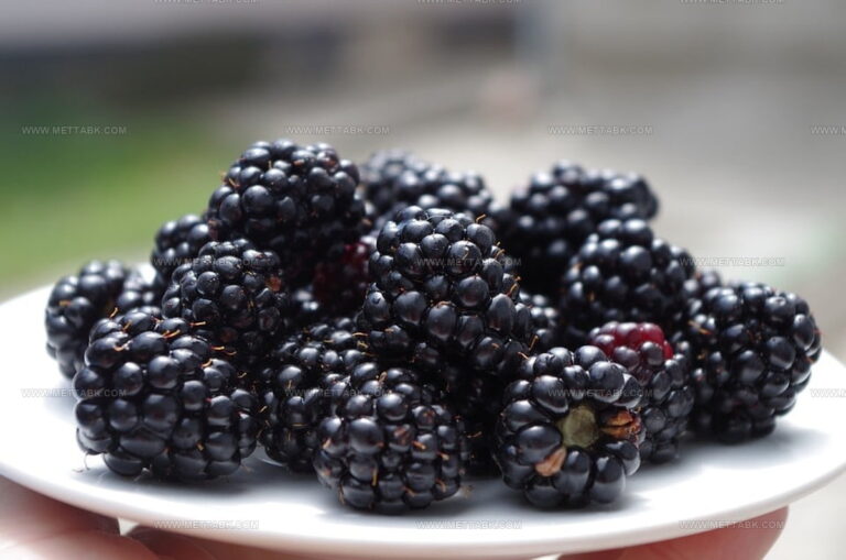 What Does Blackberry Taste Like? Sweet, Tangy Berry Magic!