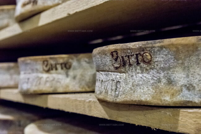 Bitto