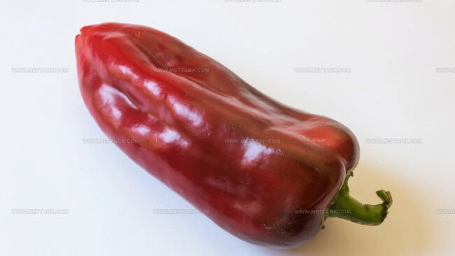Cuban Pepper