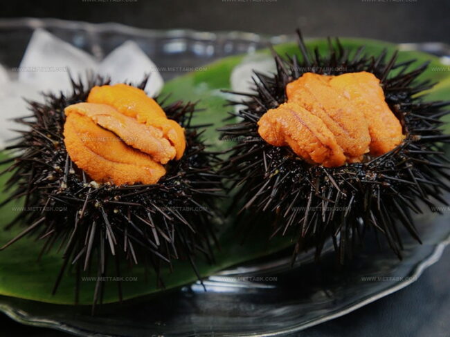 Most Popular Uni Dishes Around the World