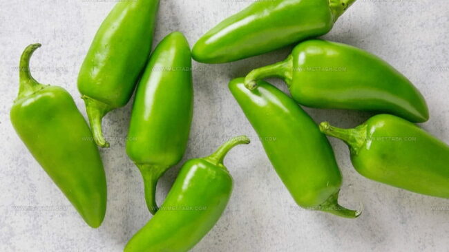 Jalapeno Pepper