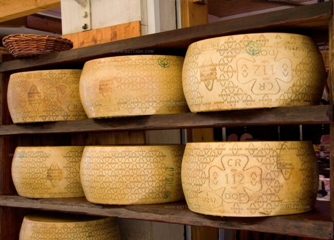 Grana Padano 9-16 Mesi